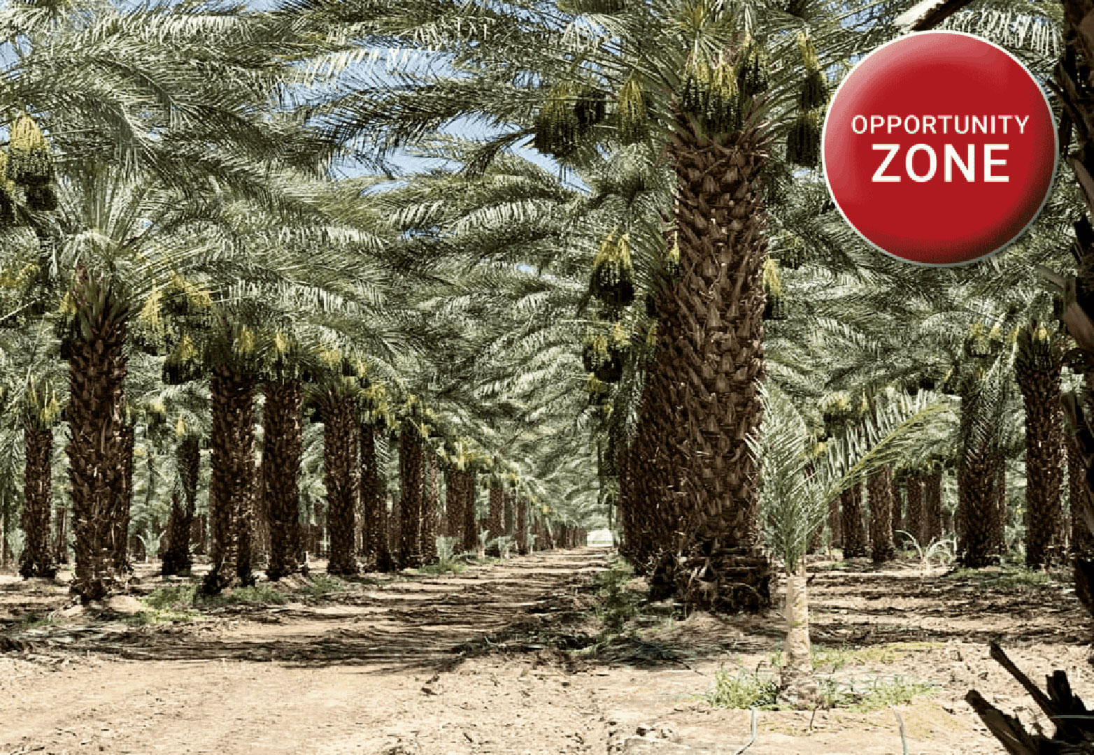 194.19 AC Airport Blvd & Pierce St, TH Featured Web