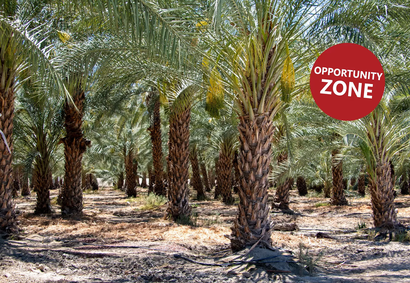 48.2 AC 92745 Avenue 84, Oasis Featured Image