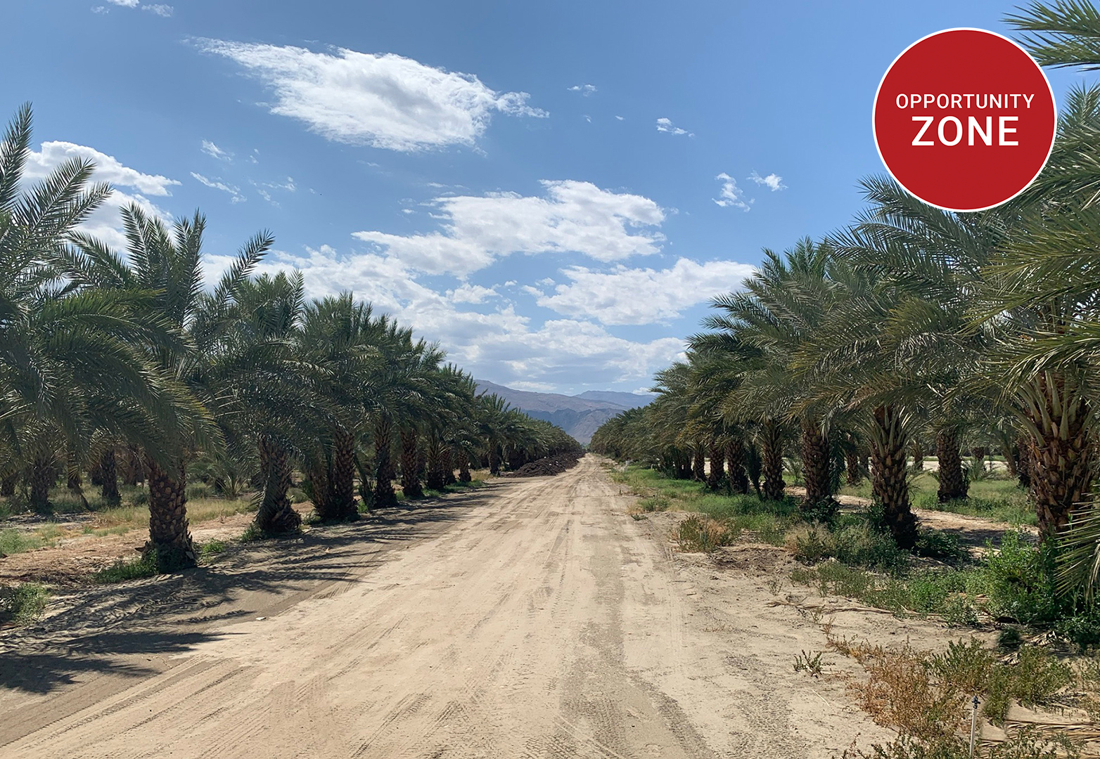 274.91 AC Jackson St, VSR Featured Web