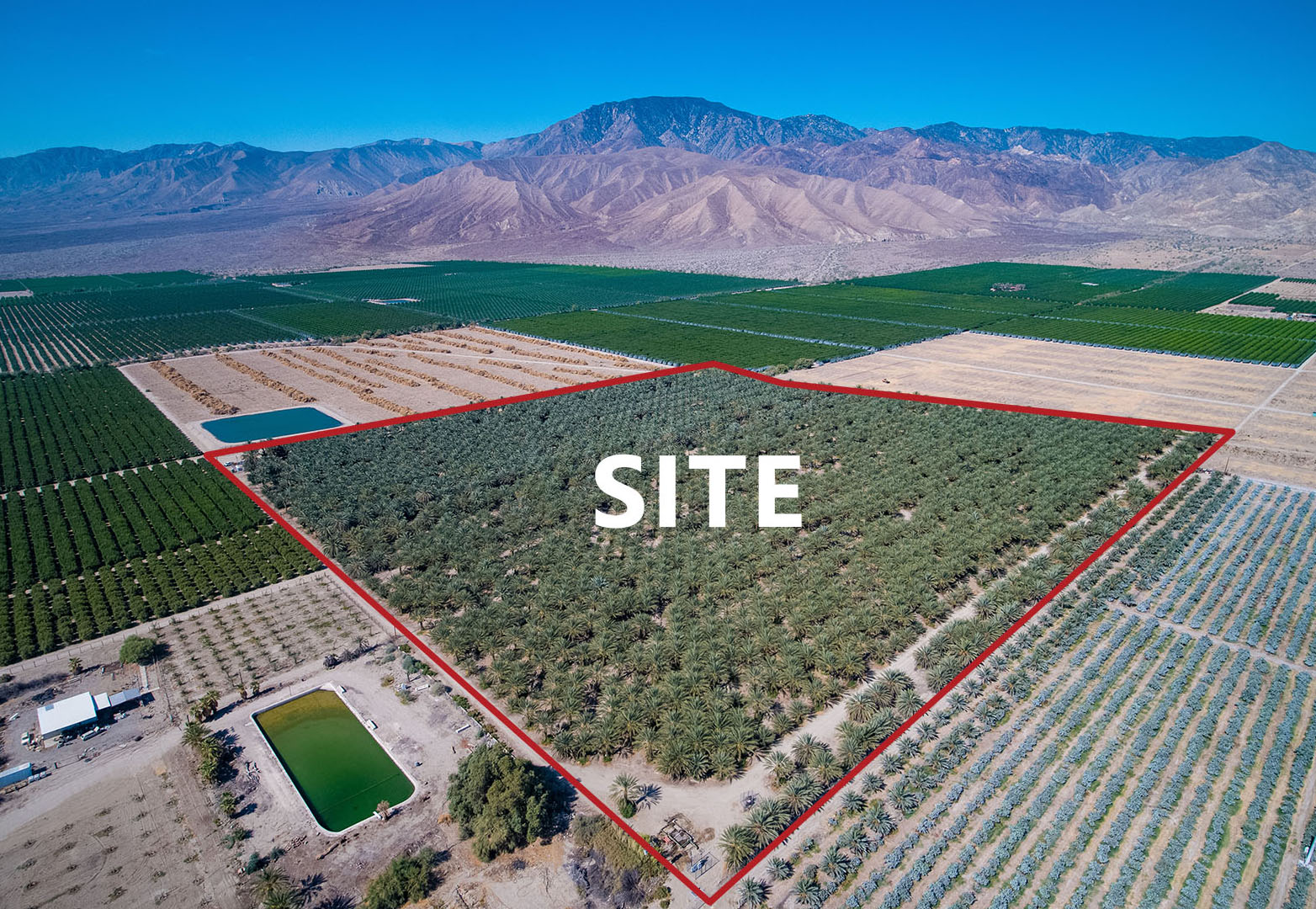 40.74 AC Polk St, TH Featured Image